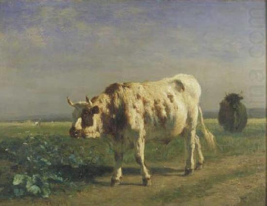 constant troyon The white bull. china oil painting image